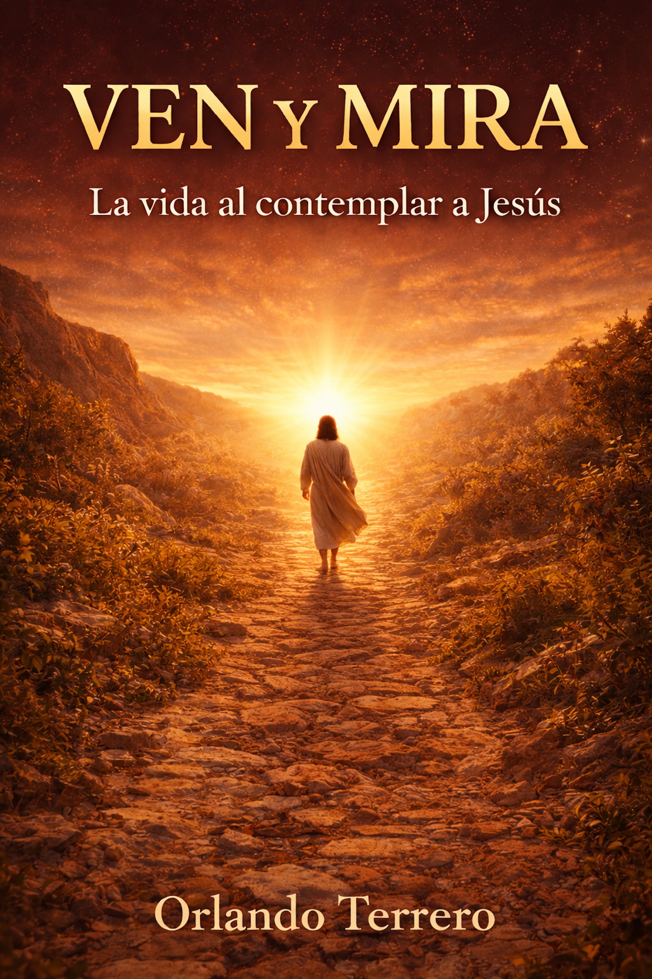 Ven y Mira. La vida al contemplar a Jesús