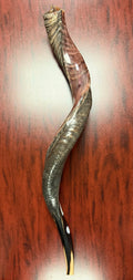Kudu Mediano – 36"-39"