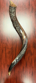 Kudu Pequeño – 32"-35"