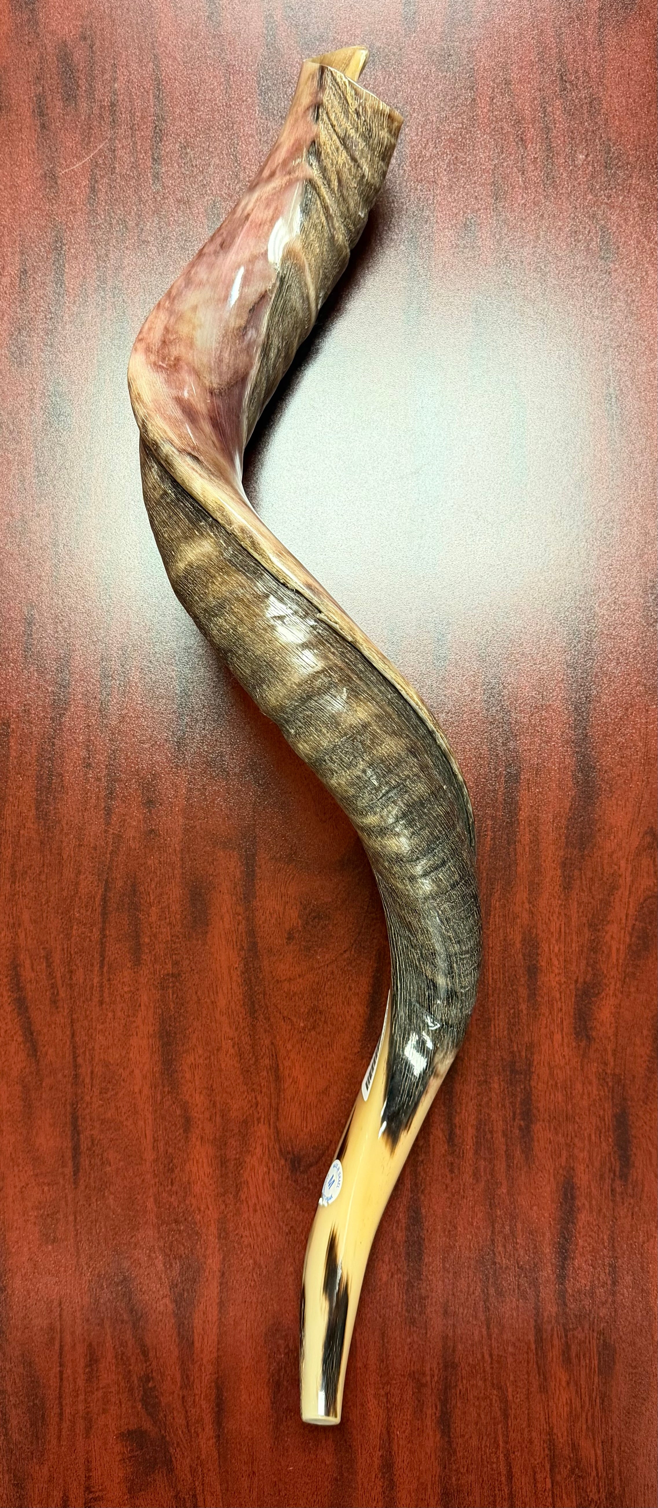 Extra Pequeño – 26"-31"