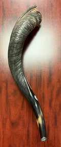 Extra Extra Pequeño – 20"-22"